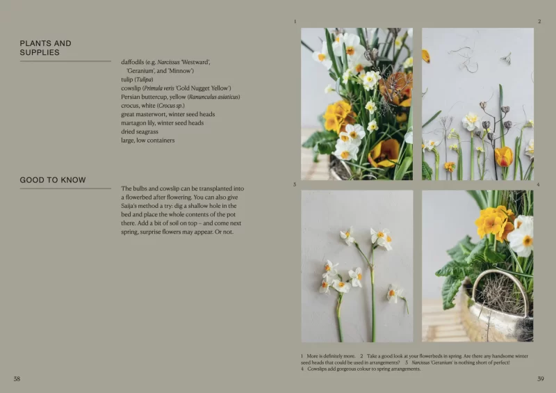 Sanna Rasku & Saija Sitolahti: The Potted Garden – All Year Around - Image 2